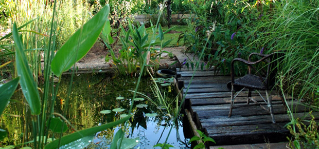 Bassins d'ornement de jardin Bouches-du-rhône- vert et sens