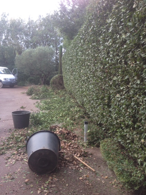 Remise en état d’un jardin